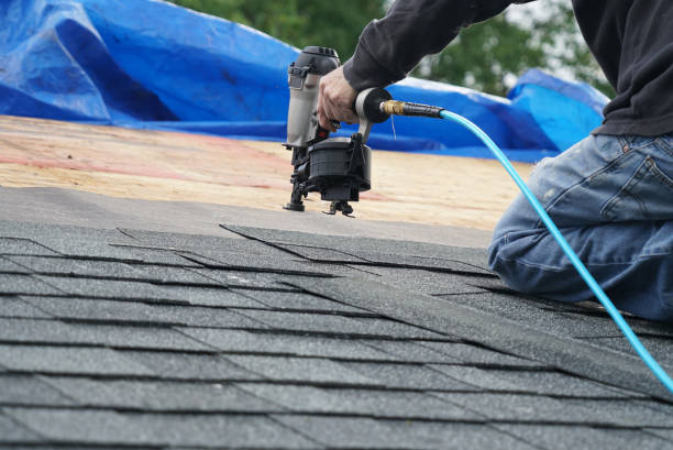 Roof Gutter Cleaning in Manteno, IL