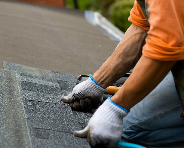 Best Roof Repair Services  in Manteno, IL