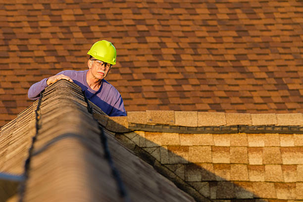 Best Roof Leak Repair  in Manteno, IL